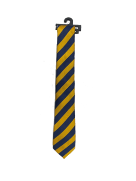 Wakatipu High School Tie