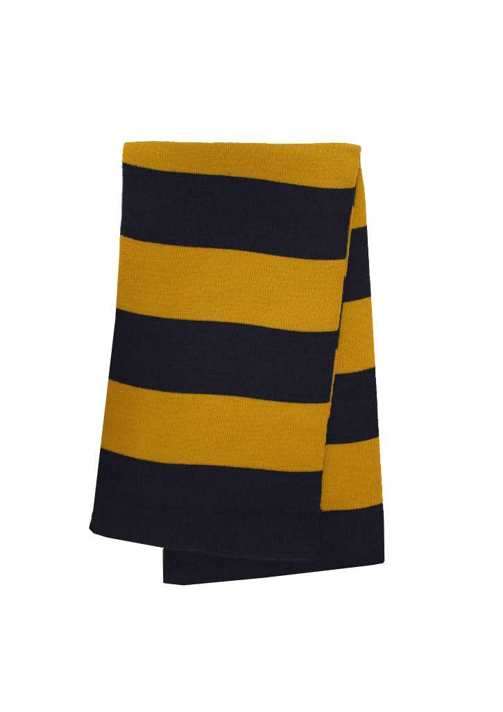 Wakatipu High School Scarf